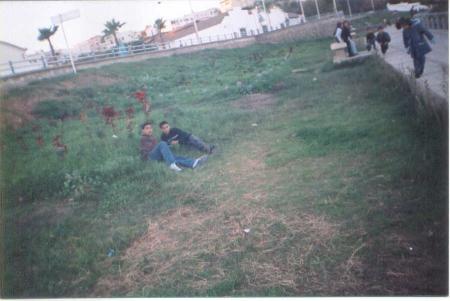 mon lotfi+igal simo